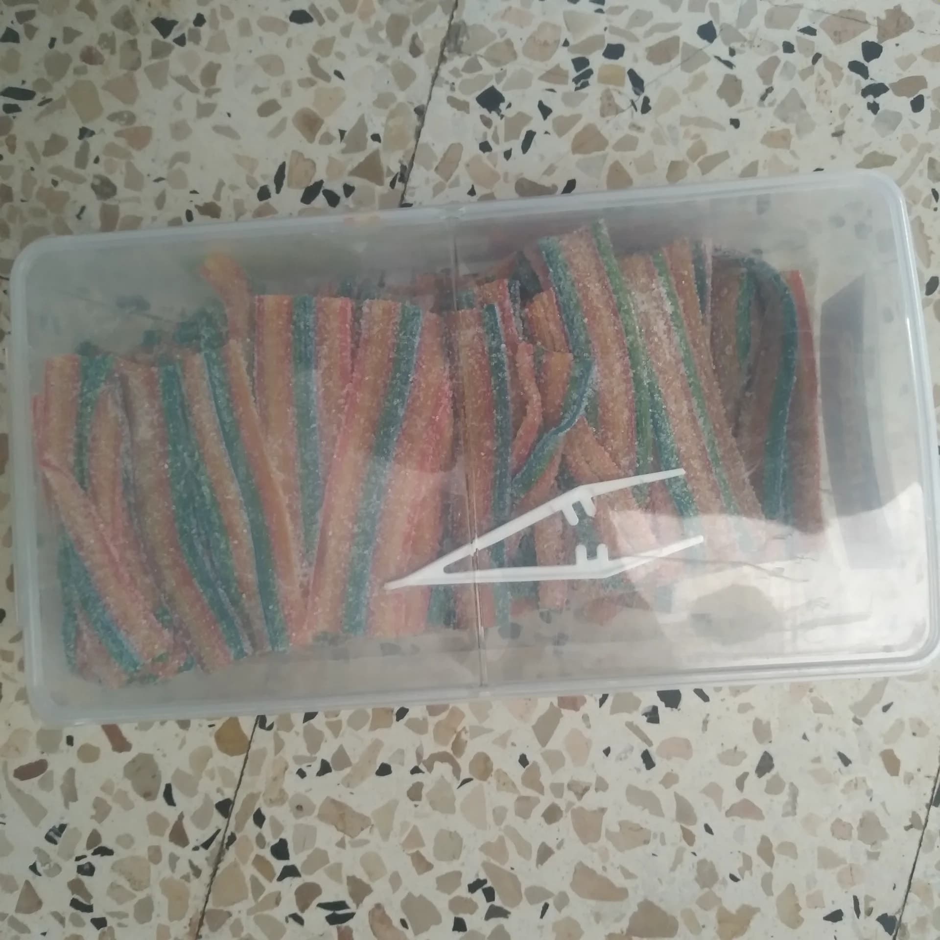 هوليبو سبتة 50da