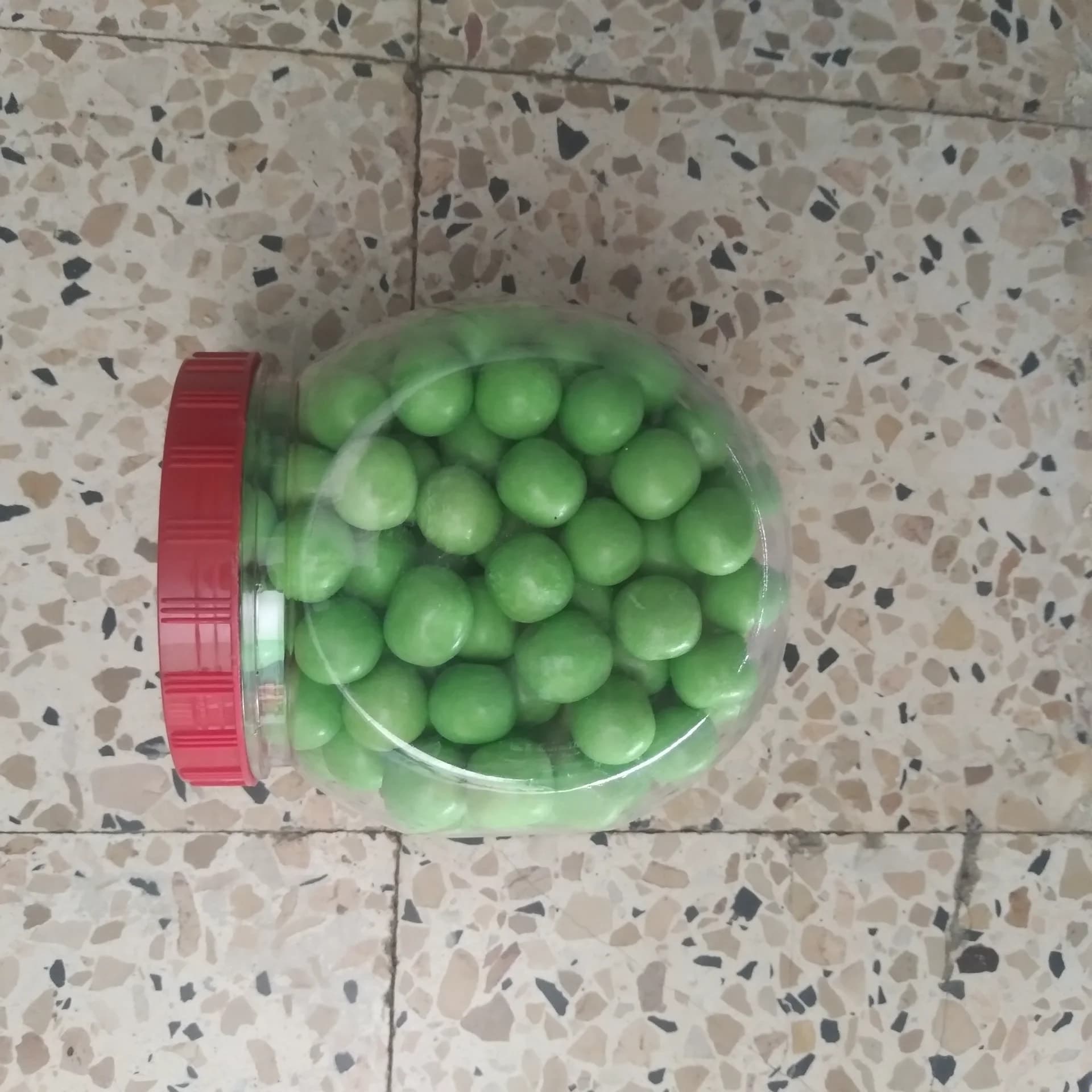 بابايا قوم 175حبة 50da